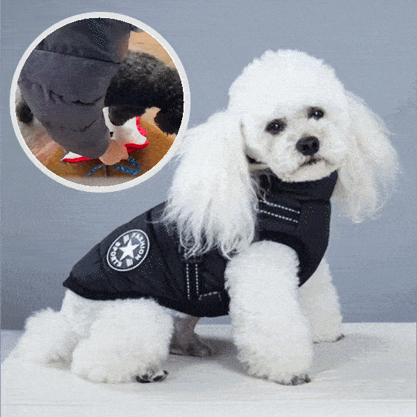 Kaput za pse s reflektirajućom uzicom - Dogjacket