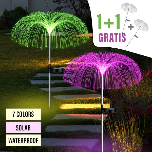 888_20_GRATIS1.jpg